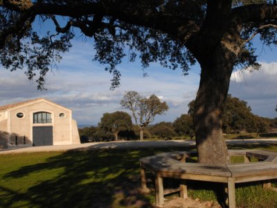 Bodegas La Verdosa