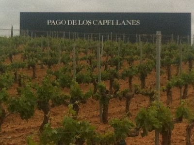 Bodegas Pago de los Capellanes