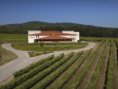 Bodegas Terras Gauda