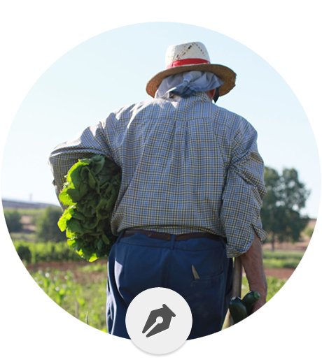 La Bobal y otras historias del vino en el Arte y la Política del Comer
