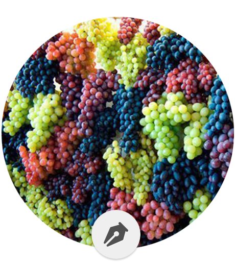 Elegir el vino según el tipo de uva
